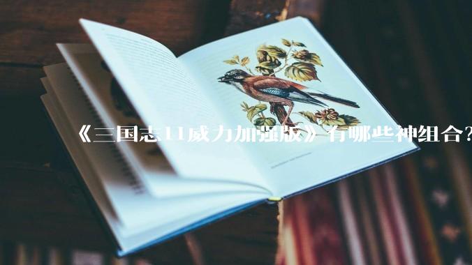 《三国志11威力加强版》有哪些神组合？